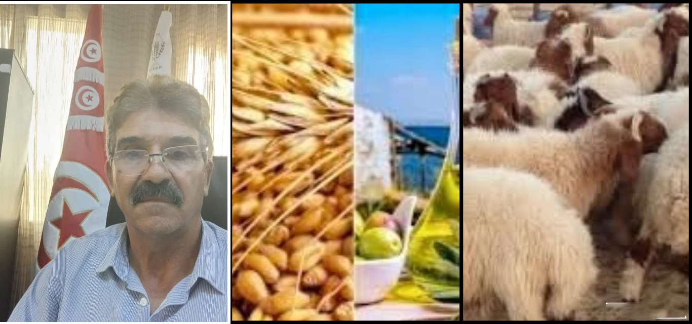  رئيس اتحاد الفلاحة بالقيروان لـ"الصباح نيوز": "القطاع الفلاحي يتطلب خارطة إصلاح شاملة"